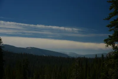 DSC_0199 (Large).JPG